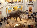 030_2009-0119-1300-57.jpg